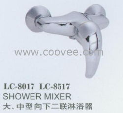 大,中型向下二聯(lián)淋浴器