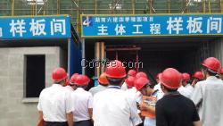 可调式顶板支撑,可调式剪力墙支撑,框架柱支撑,梁支撑