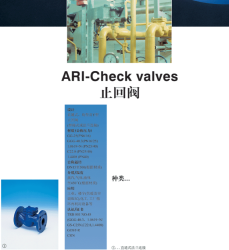 CHECK VALVES 止回阀