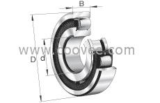 专卖20214-TVP轴承-FAG 鼓形滚子轴承