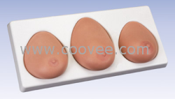 乳房检查模型(一套三部件)