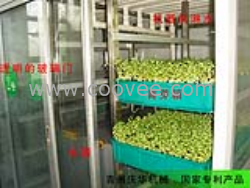 山东省青州市庆华生产芽苗机
