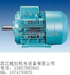 1LG0083-4AA21