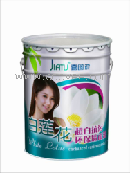 内墙工程乳胶漆