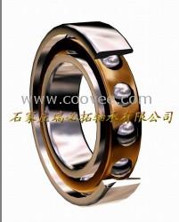 代理7221B/DB NSK轴承NSK角接触球轴承现货