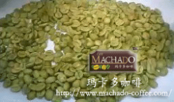 咖啡生豆（巴西豆/印尼豆批发）