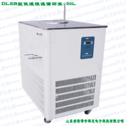 DLSB型-30L40L低温恒温循环泵