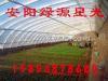 塑料大棚供应大棚骨架机安阳绿源星光