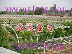 经济型蔬菜大棚骨架机养殖蔬菜大棚安阳绿源星光
