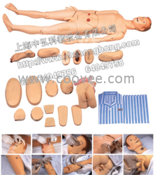 男女性全功能护理训练模拟人
