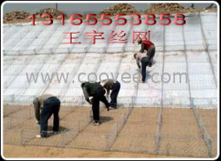 绿格网，绿格网箱，绿格网垫，雷诺护垫，绿格网价格，绿格网厂家
