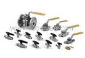美国飞托克阀门/飞托克针型阀