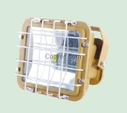 led防爆灯40w