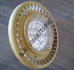 led防爆灯30w