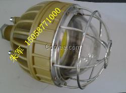led防爆灯40w