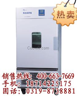 BD 240生化培养箱