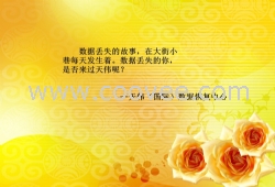 天津磁头损坏恢复-天伟数据恢复