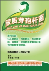 微元胶质芽孢杆菌全水溶胶质芽孢