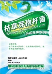 微元枯草芽孢杆菌水产养殖净化剂