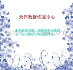 服务器数据恢复-天津数据恢复