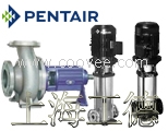 美国滨特尔pentair水泵