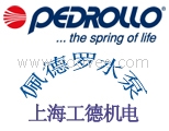 意大利佩德罗pedrollo泵