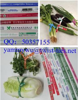 塑料蔬菜环保防水扎带