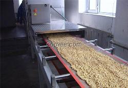 企业铭鑫微波(图),大虾微波烘烤,微