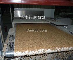济南铭鑫微波干燥设备(在线咨询),微波干