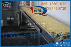 QD启东大蒜烘干机生产厂家果蔬烘干设备