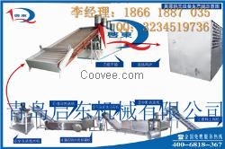 青岛启东蒜片烘干机生产厂家