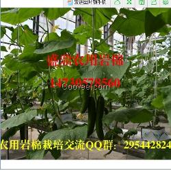 蔬菜大棚材料盛鼎源农业种植基质岩棉